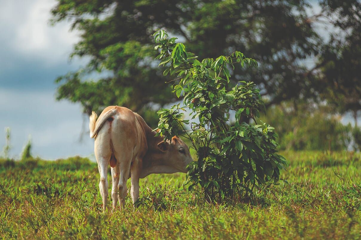 CampoKM16_PavelMartiarena_52