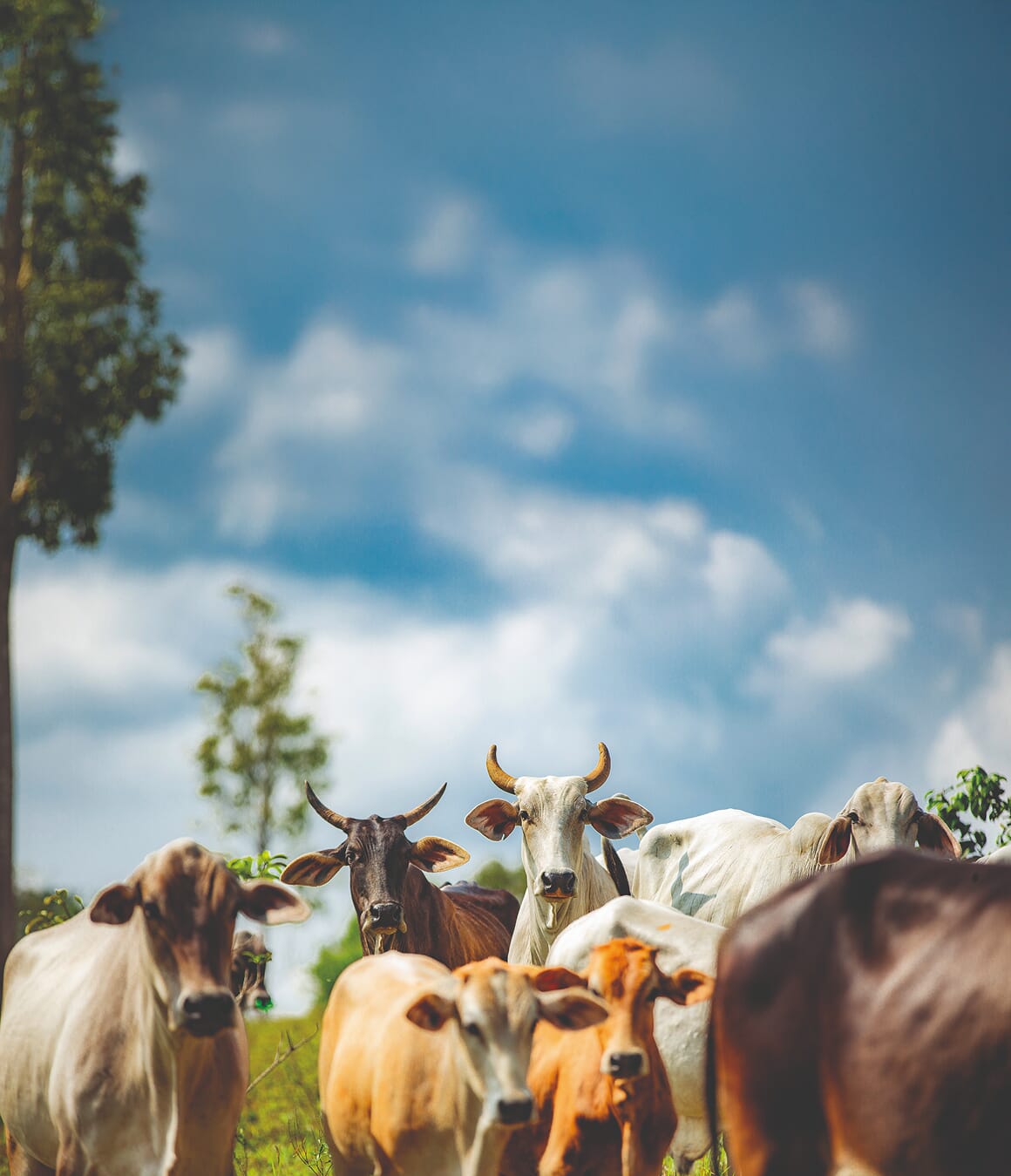 CampoKM16_PavelMartiarena_54