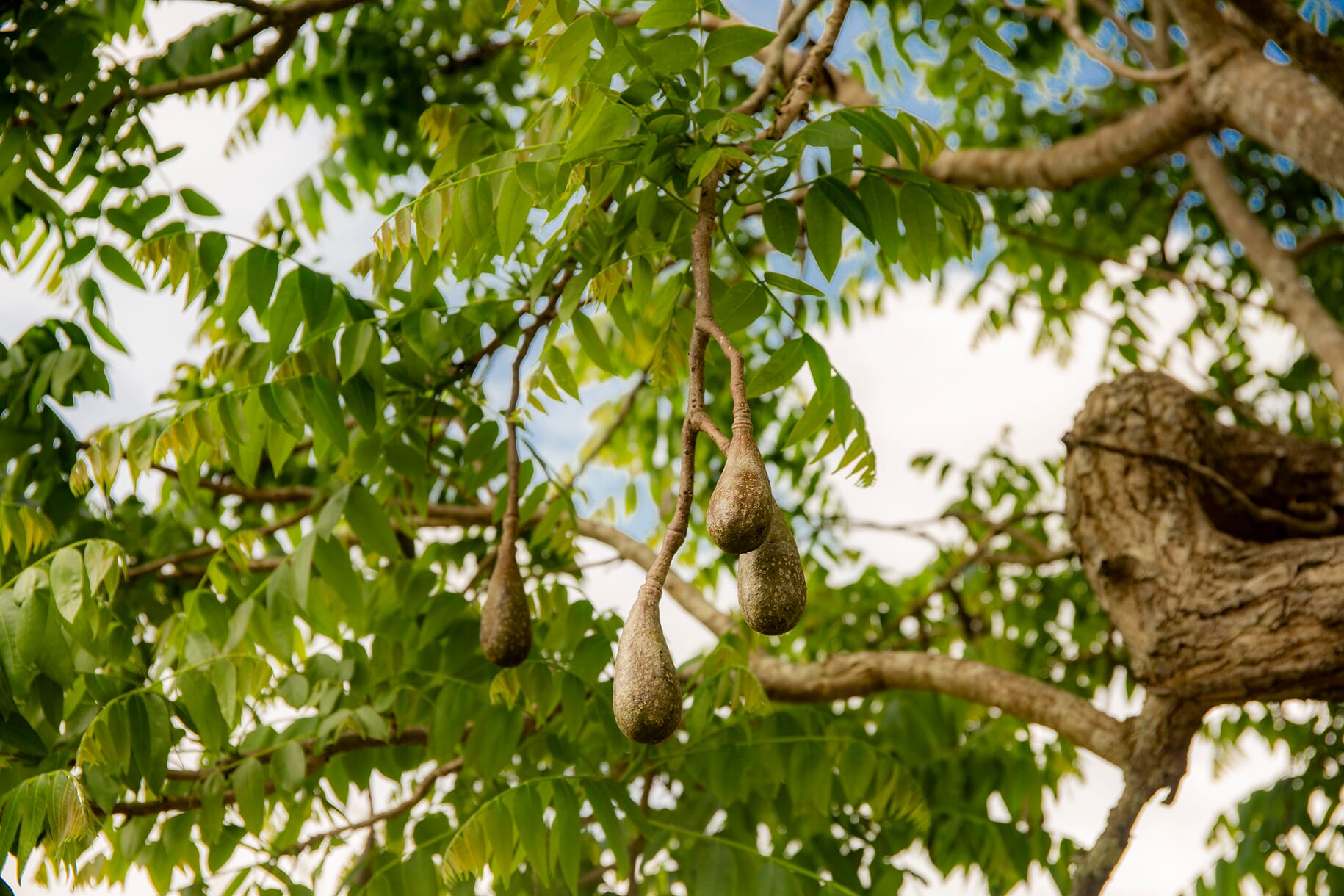 CampoKM16_PavelMartiarena_62 1