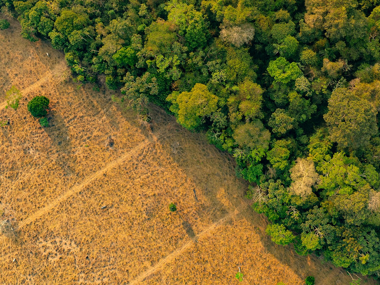 DronGanaderia_PavelMartiarena_4