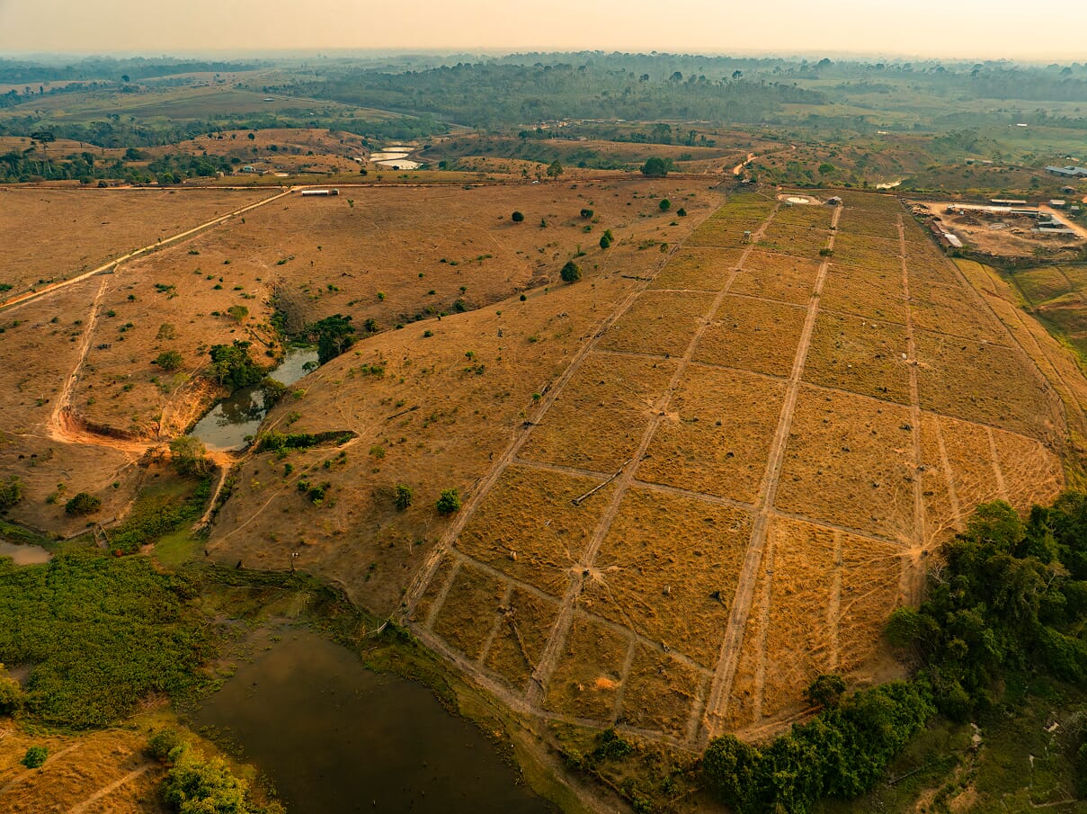 DronGanaderia_PavelMartiarena_8